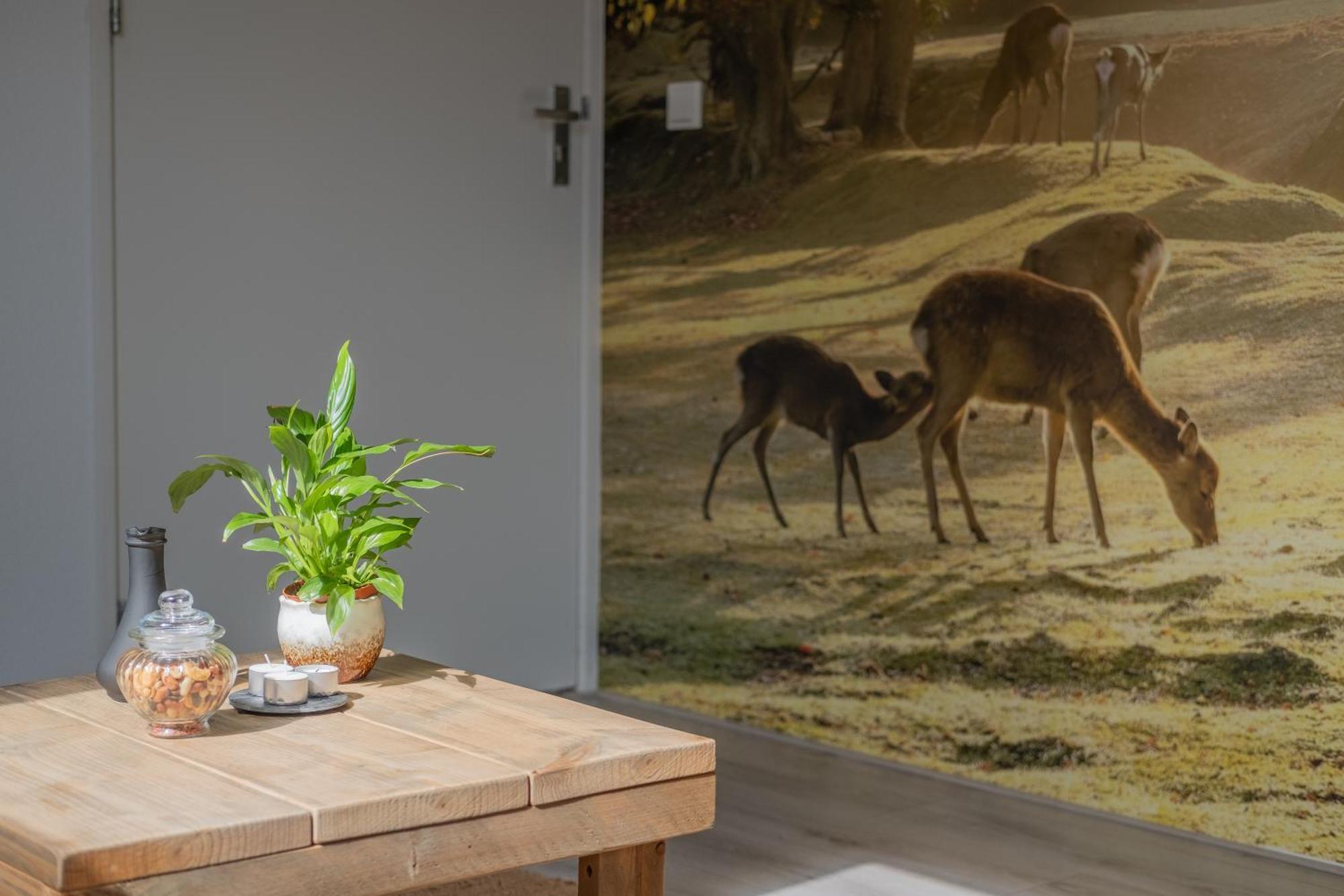 Bed and breakfast De Achterdiek