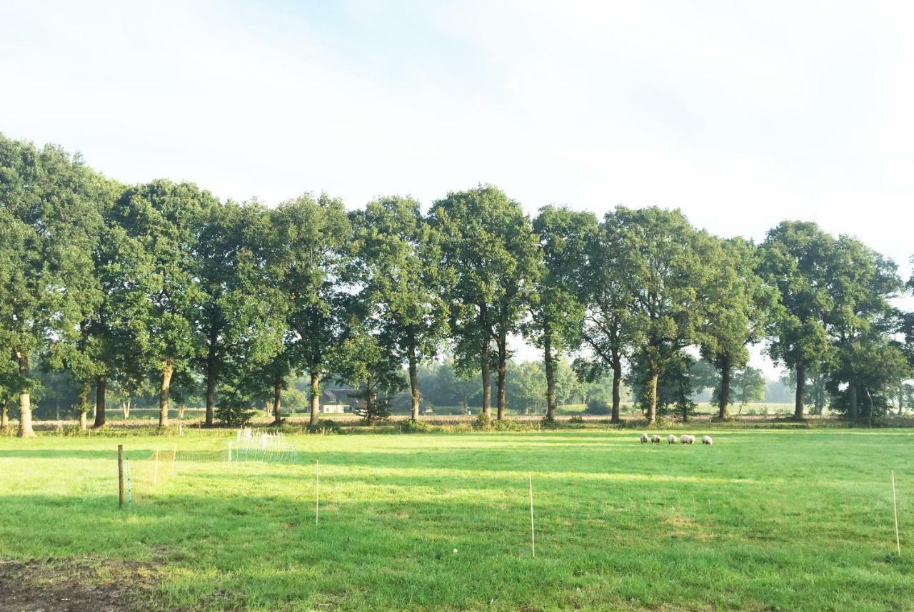 Bed and breakfast De Achterdiek *